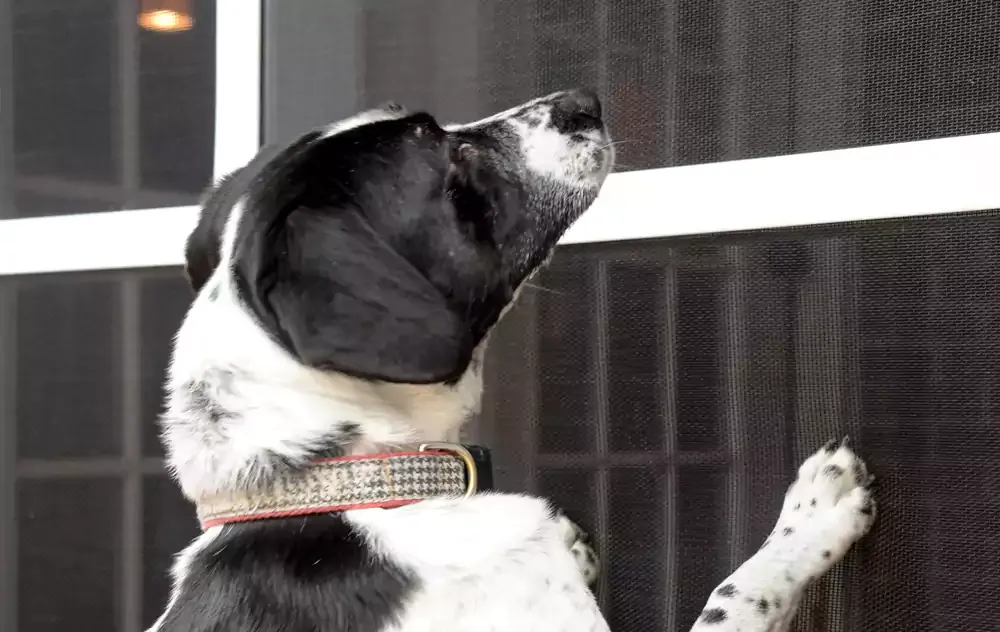 Fifteen Screen Styles